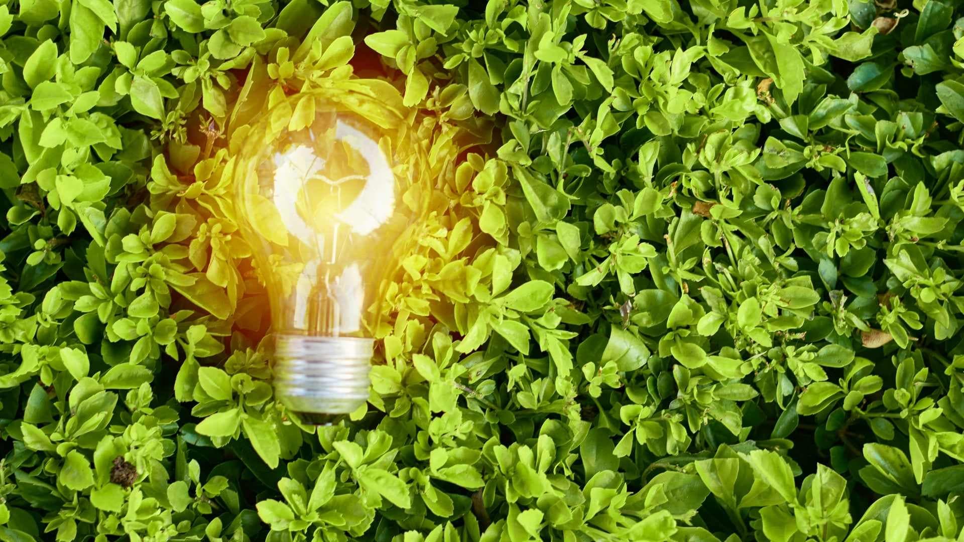 Udržitelné investice — zelená energie